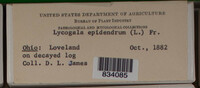 Image Associated With the Occurence